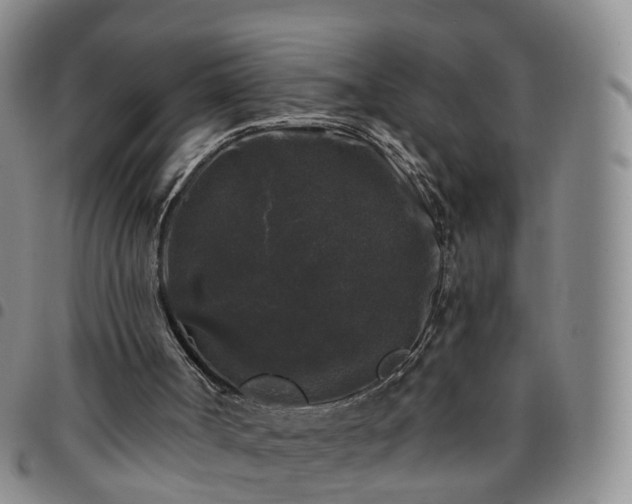 X0000097790002200803141839