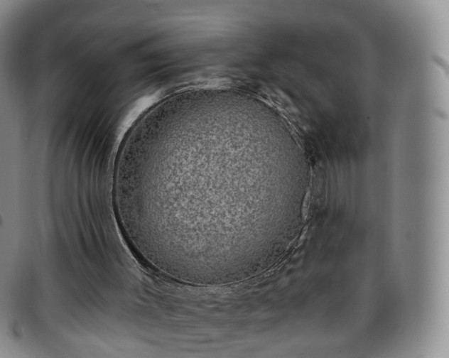 X0000097790003200803141839