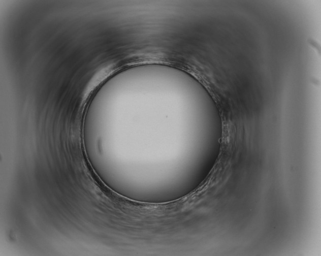 X0000097790004200803141839