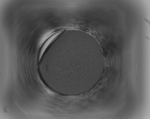 X0000097790005200803141839