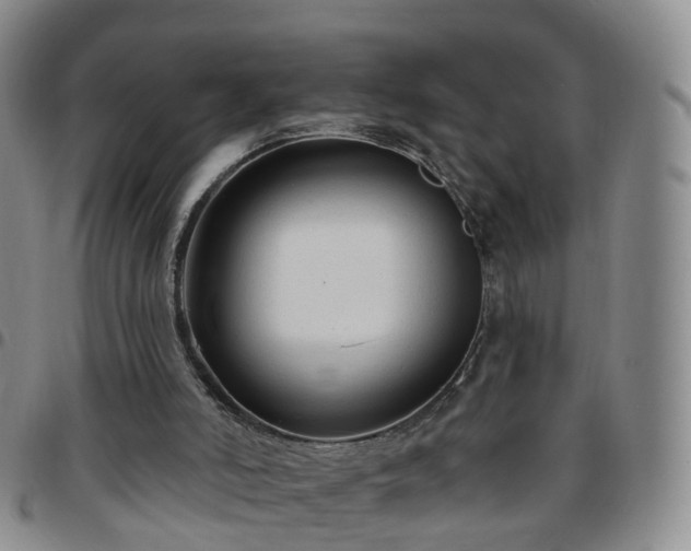 X0000097790006200803141839