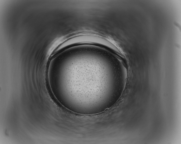 X0000097790007200803141839