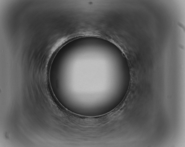 X0000097790008200803141839