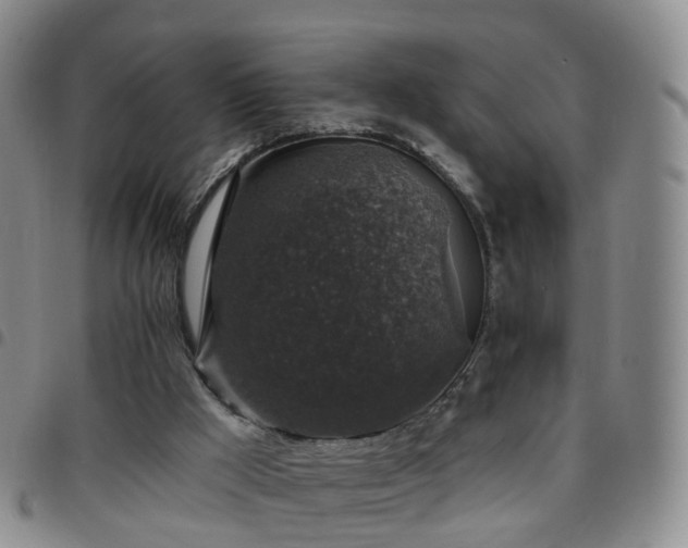 X0000097790009200803141839
