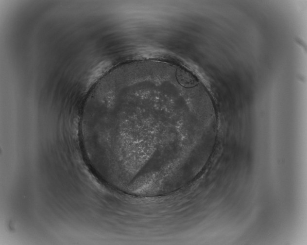 X0000097790010200803141839