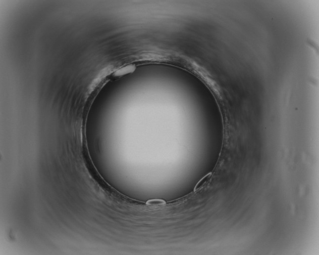 X0000097790011200803141839