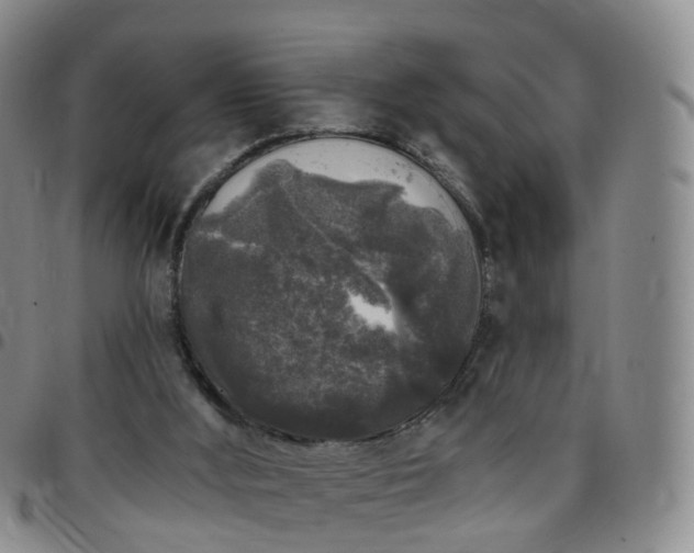 X0000097790012200803141839