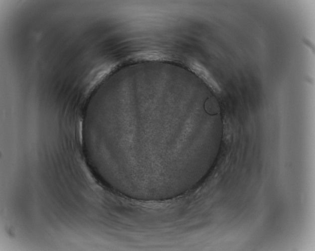 X0000097790014200803141839