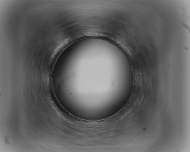 X0000097790015200803141839