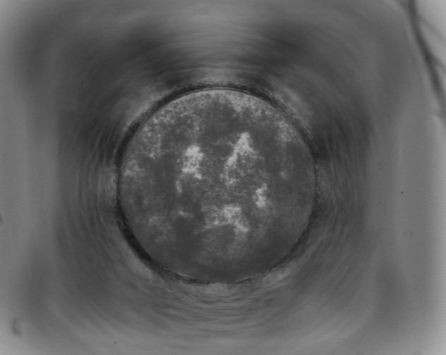 X0000097790016200803141839