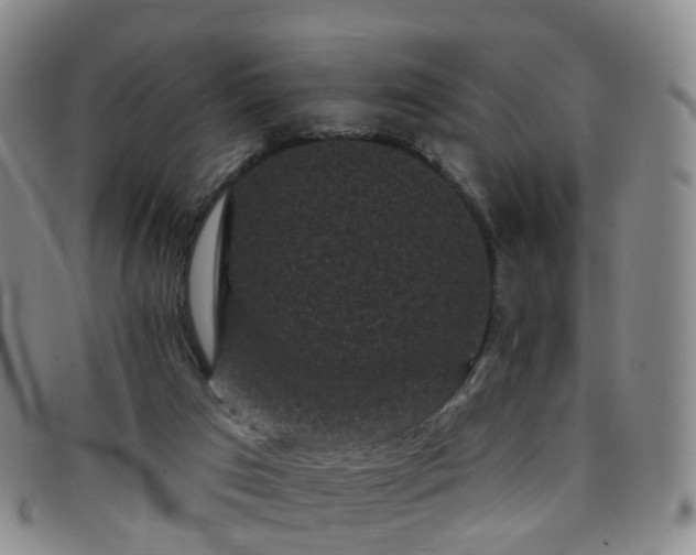 X0000097790017200803141839