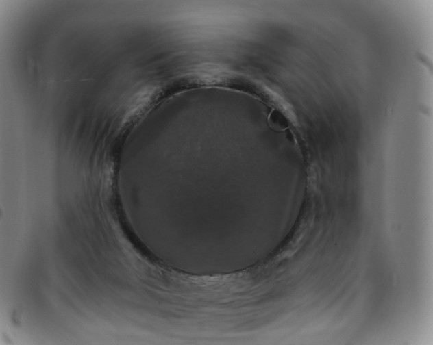 X0000097790018200803141839