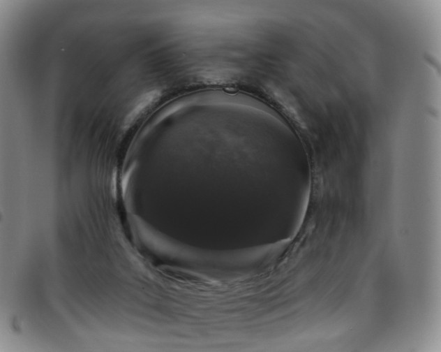 X0000097790019200803141839