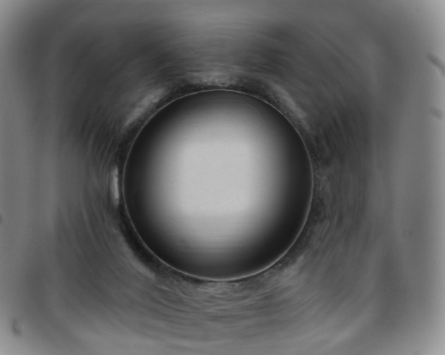 X0000097790020200803141839