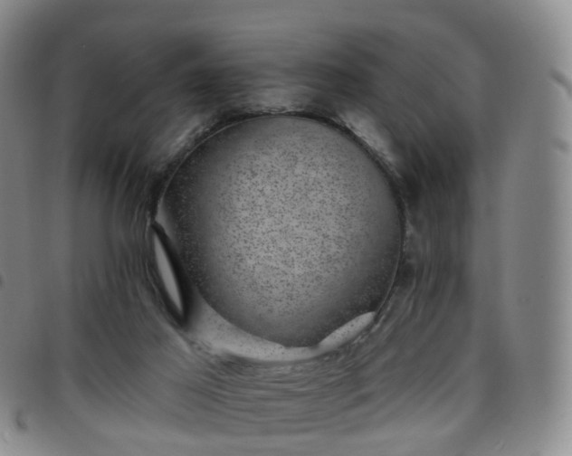 X0000097790021200803141839