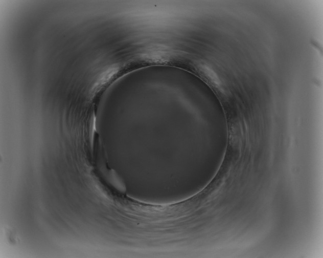 X0000097790023200803141839