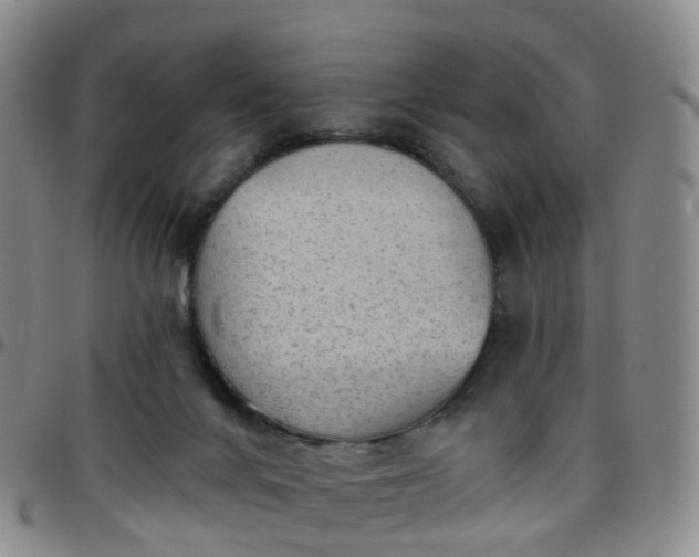 X0000097790024200803141839