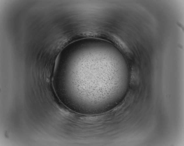 X0000097790025200803141839