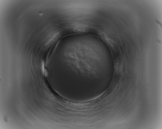 X0000097790027200803141839