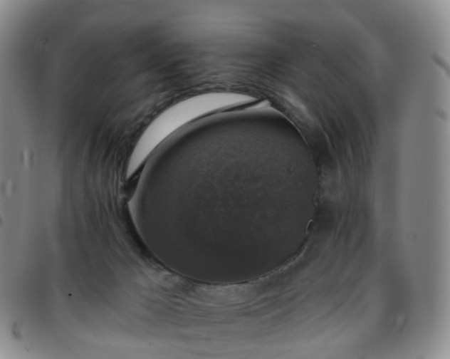 X0000097790029200803141839