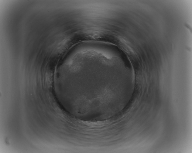 X0000097790030200803141839