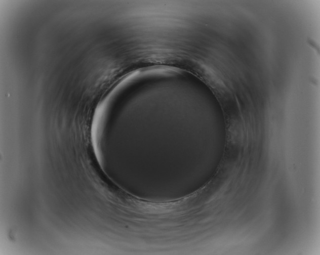 X0000097790031200803141839