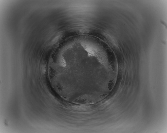 X0000097790032200803141839