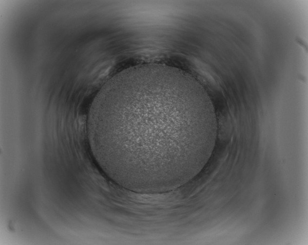 X0000097790034200803141839