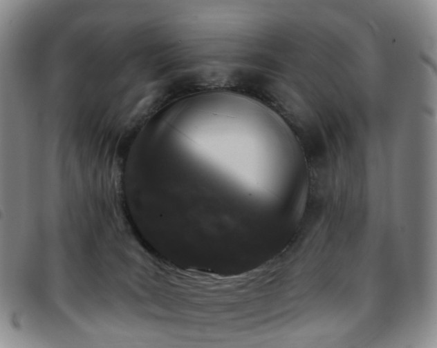 X0000097790035200803141839