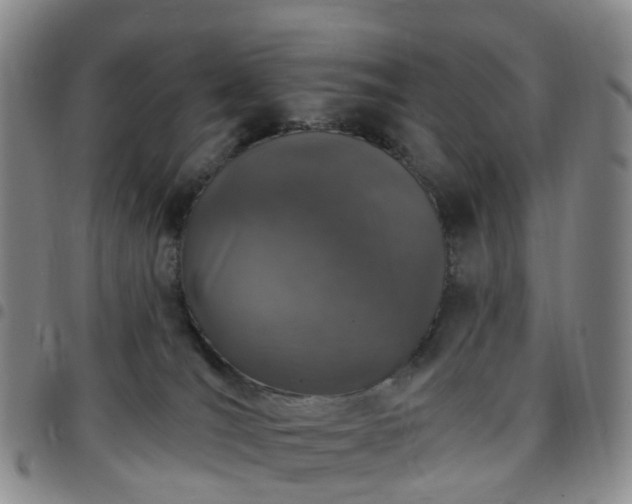 X0000097790036200803141839