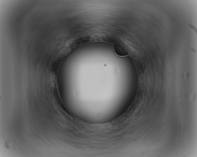 X0000097790038200803141839