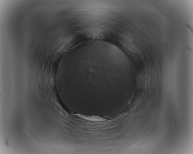 X0000097790039200803141839