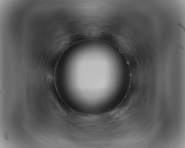 X0000097790040200803141839