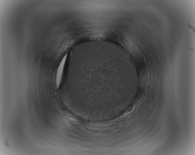X0000097790041200803141839