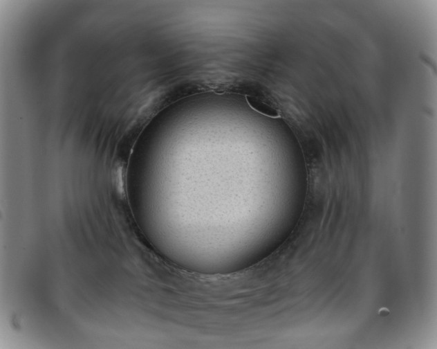 X0000097790042200803141839