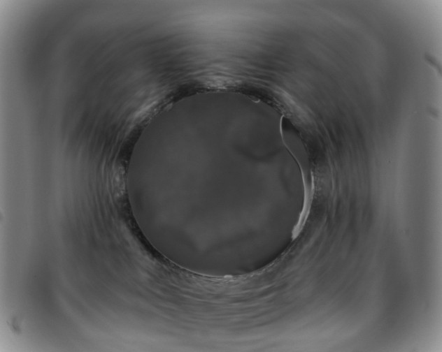 X0000097790043200803141839