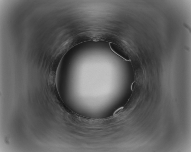 X0000097790044200803141839
