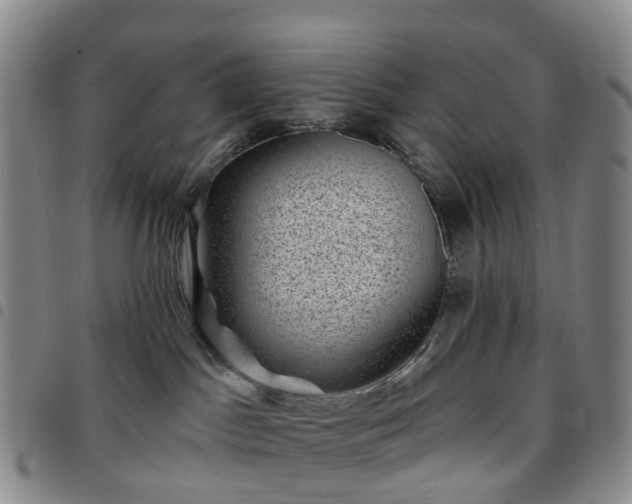X0000097790045200803141839