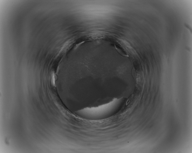 X0000097790046200803141839