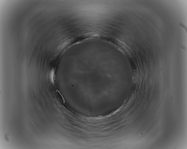 X0000097790047200803141839