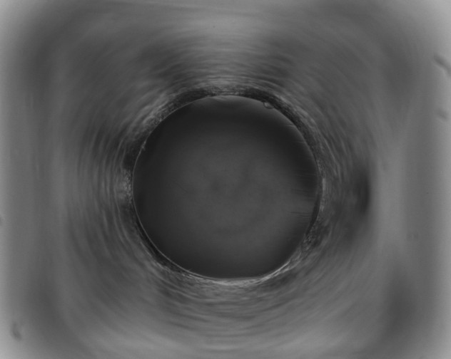 X0000097790048200803141839