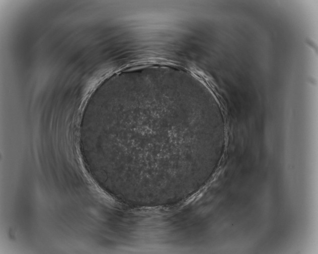 X0000097790049200803141838