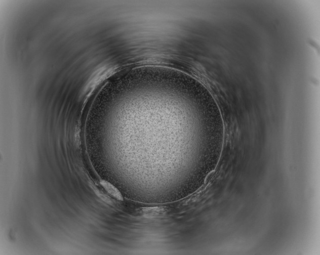 X0000097790050200803141838