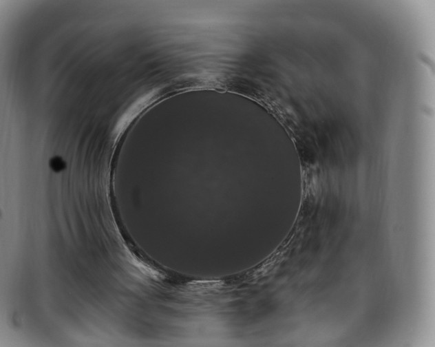 X0000097790051200803141838