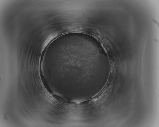 X0000097790052200803141838