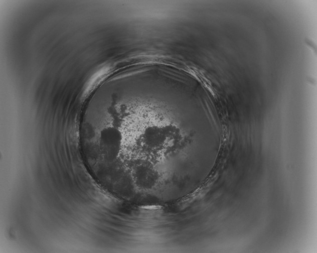 X0000097790053200803141838