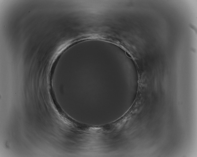X0000097790055200803141838