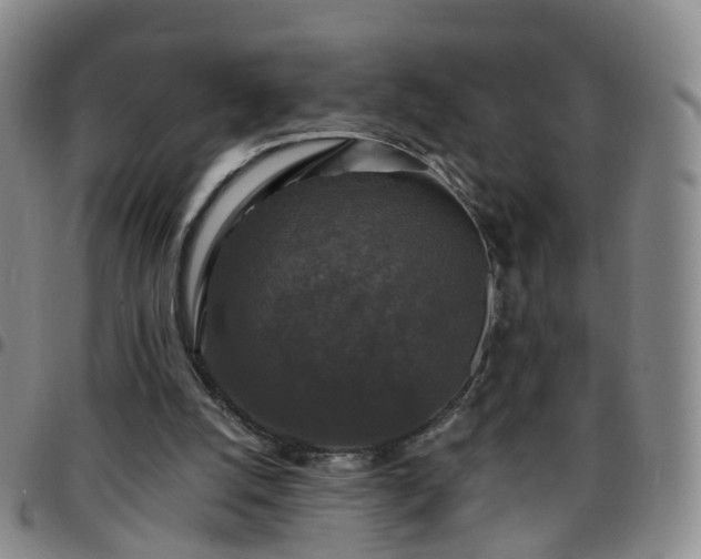 X0000097790056200803141838