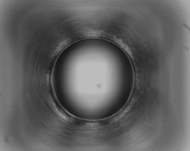 X0000097790057200803141838