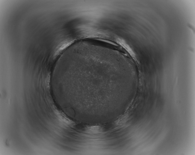 X0000097790058200803141838